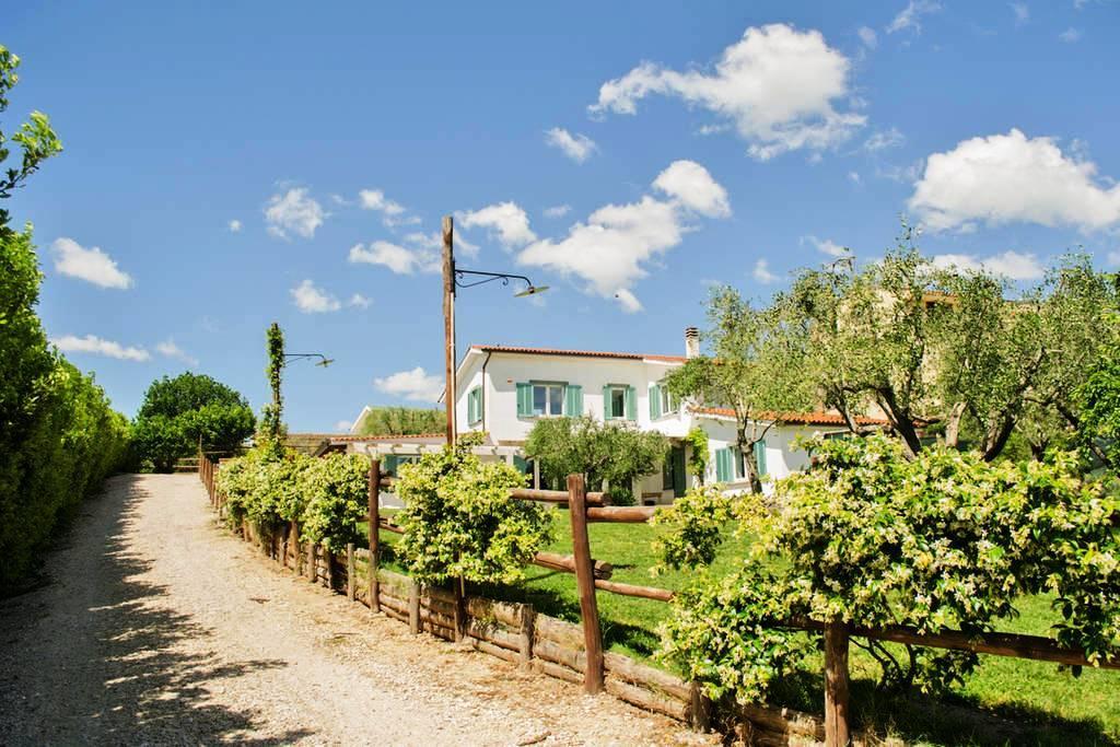 Gli Olivi Formello Exterior foto